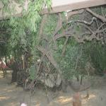 Vraj-Yatra-2014- (2474)